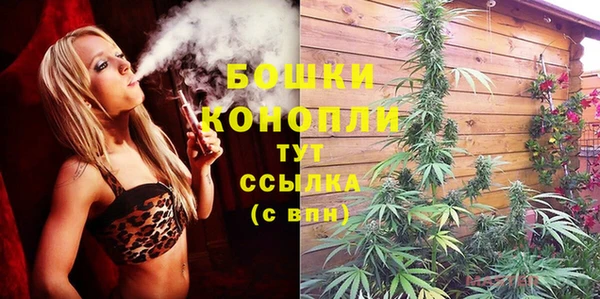 сатива Куйбышев