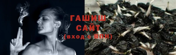 сатива Куйбышев
