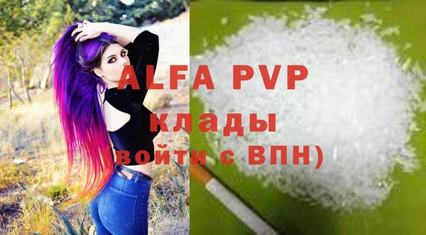 сатива Куйбышев